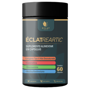 ÉclatReartic | 1 un.